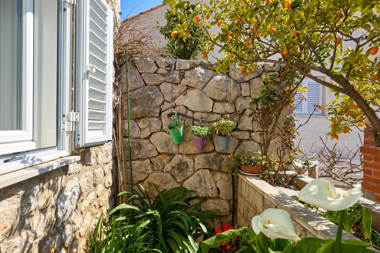 Argosy Near Old Town With Sea View And Free Parking Appartamento *